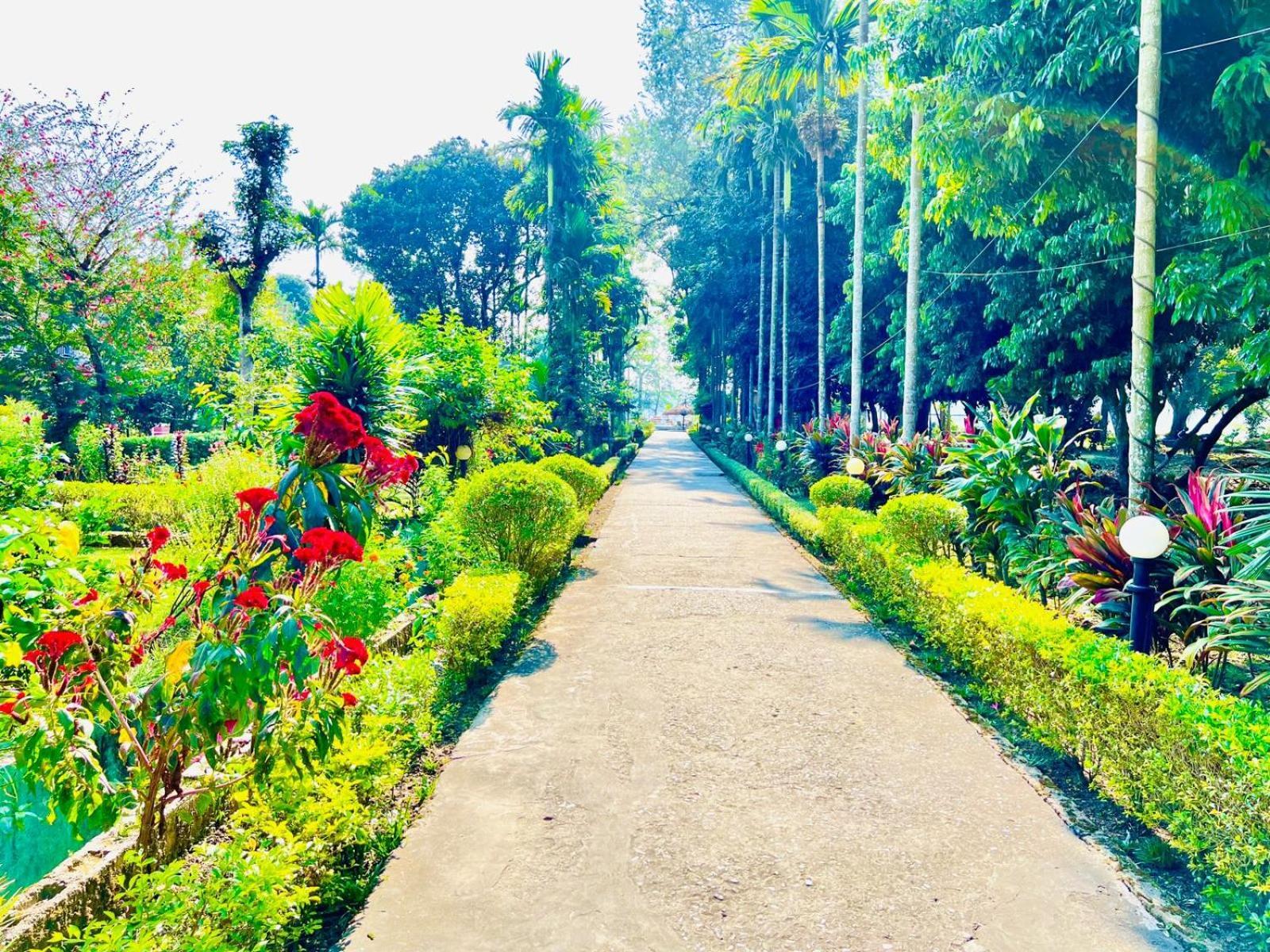 Hotel Hermitage Sauraha Exterior photo