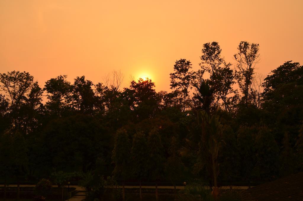 Hotel Hermitage Sauraha Exterior photo