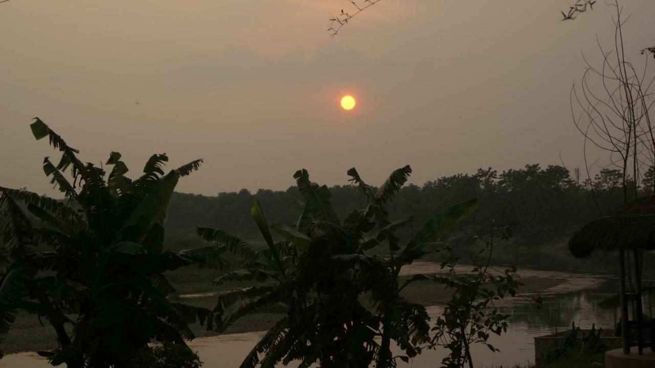 Hotel Hermitage Sauraha Exterior photo
